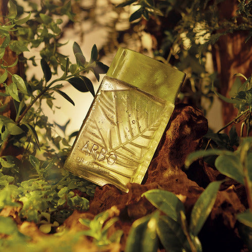 BOTICÁRIO ARBO FOREST DESODORANTE COLÔNIA 100ML