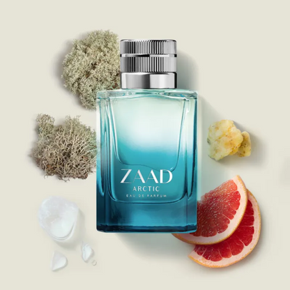 BOTICÁRIO ZAAD ARCTIC EAU DE PARFUM 95ML