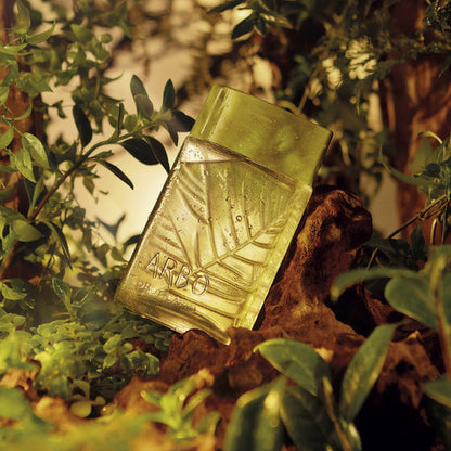 BOTICÁRIO ARBO FOREST DESODORANTE COLÔNIA 100ML